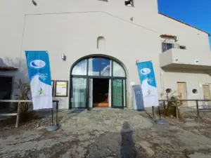 592246671 1289379659892034 4029644551022593107 n