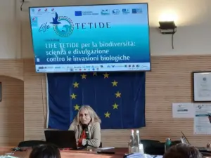 592396427 1289379493225384 5592632337904877602 n