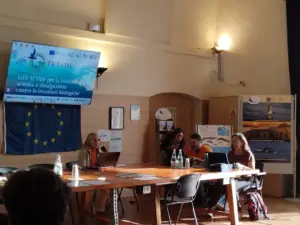 593543493 122143927070966784 4187201692434364223 n